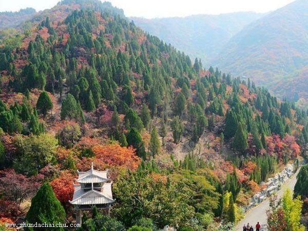 相城苏州拆除公司